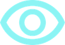 vision